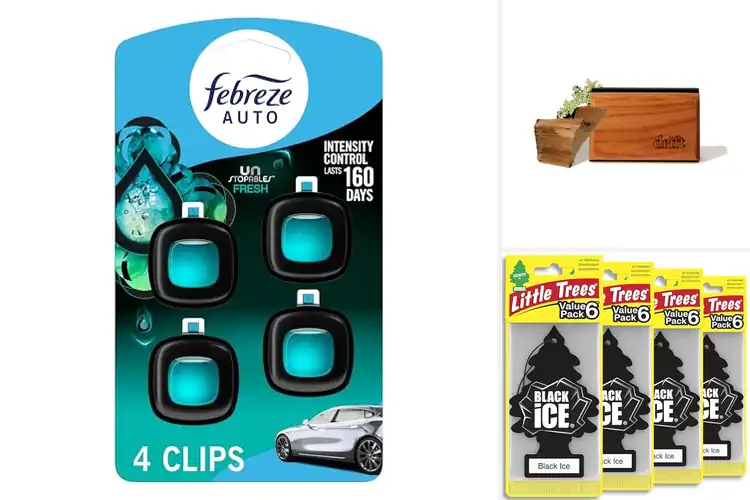 Detailed view of Best Car Air Fresheners for Fresh Drives