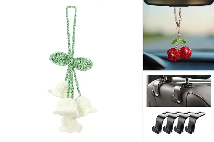 Detailed view of Best Car Interior Hanging Accessories