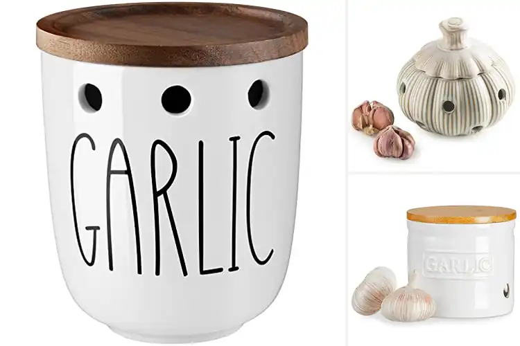 Detailed view of Best Ceramic Garlic Keepers: Keep Garlic Sprout‑Free