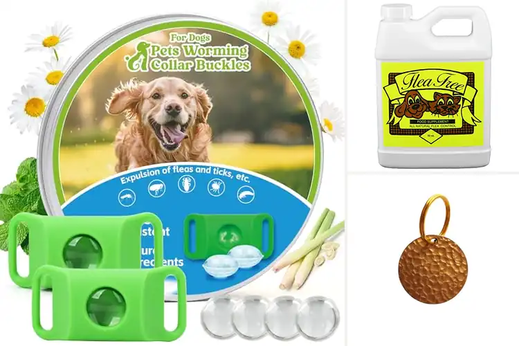 Detailed view of Best Chemical Free Flea Solutions: 10 Safe & Natural Options