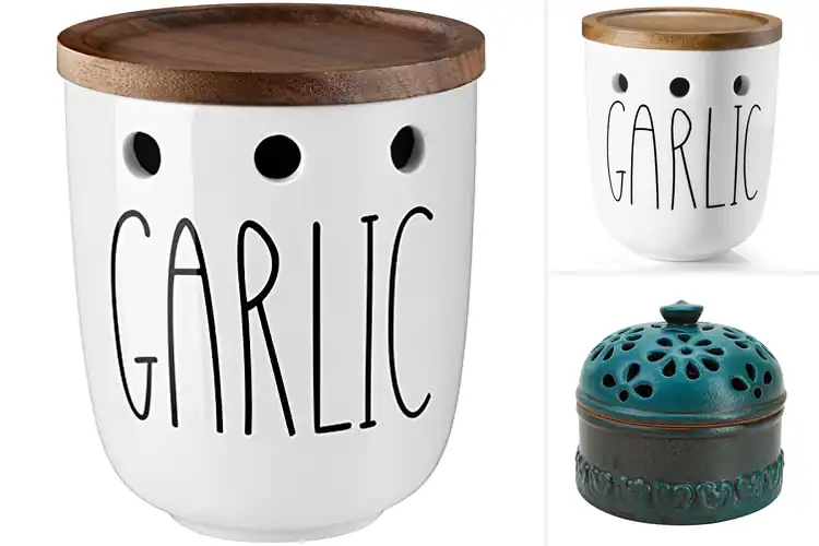 Detailed view of Best Countertop Garlic Holders: 10 Stylish, Fresh Picks