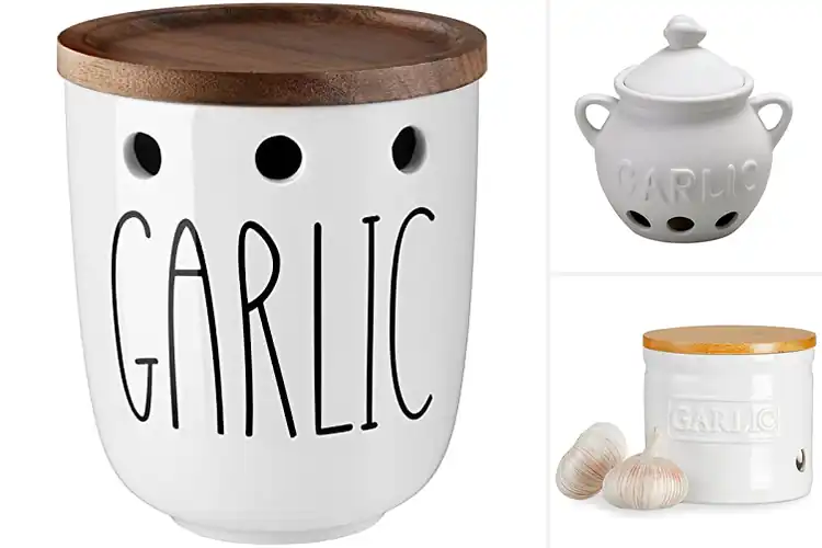 Detailed view of Best Countertop Garlic Keepers