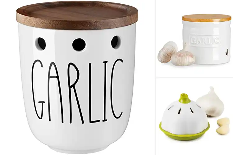 Detailed view of Best Countertop Garlic Savers