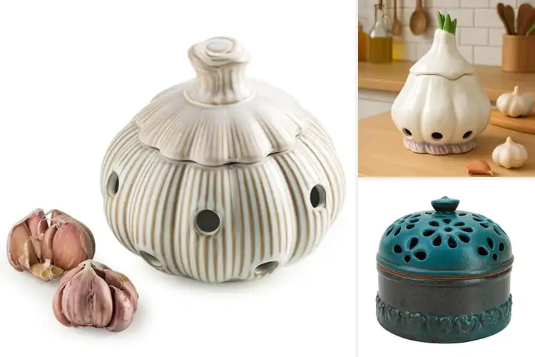 Detailed view of Best Decorative Garlic Containers: 10 Stylish Picks