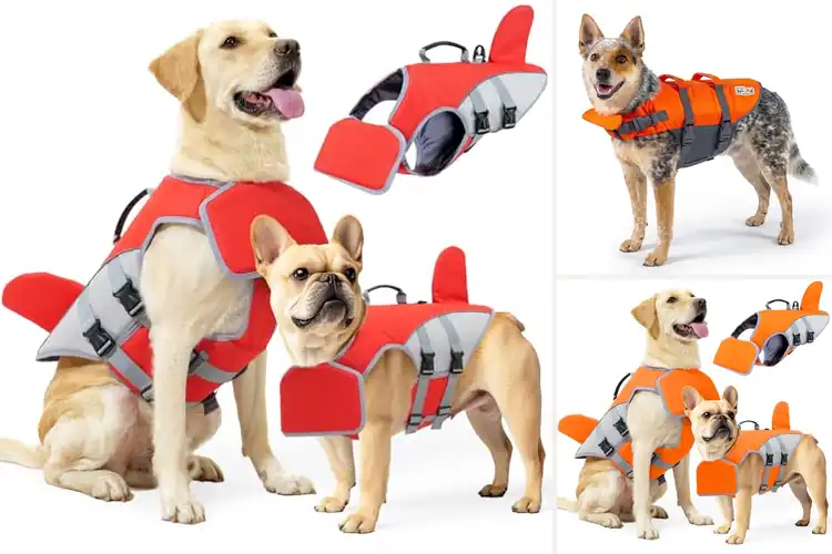Detailed view of Best Dog Flotation Vests with Chin Floats