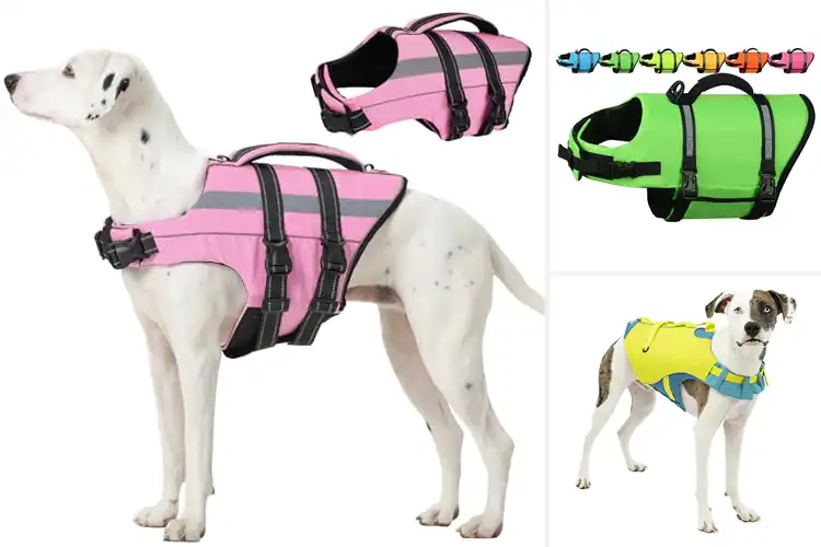 Detailed view of Best Dog Life Jackets with D-Ring Leash Attachments