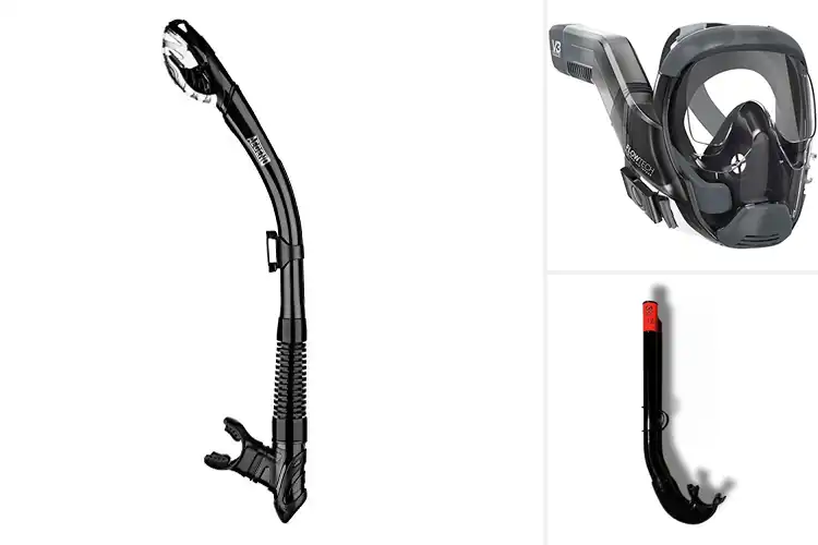 Detailed view of Best Easy Breathing Snorkels