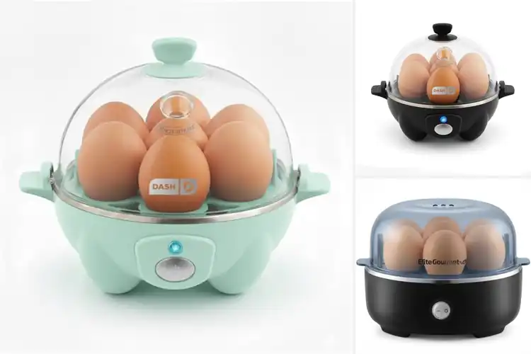 Detailed view of Best Electric Egg Cookers