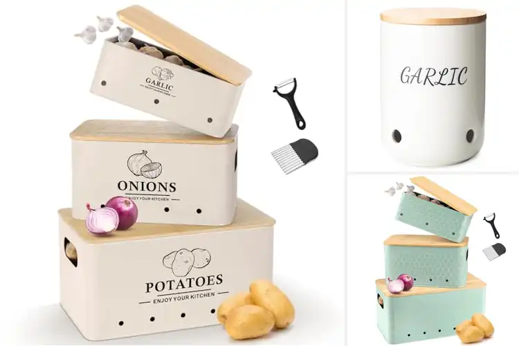 Detailed view of Best Garlic Canisters: Top 10 Stylish Picks