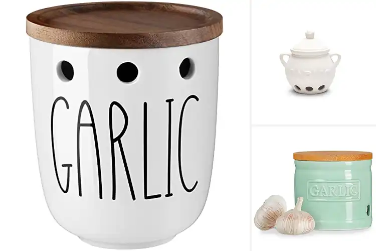 Detailed view of Best Garlic Containers For Countertops