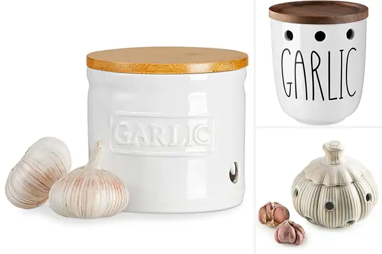 Detailed view of Best Garlic Containers