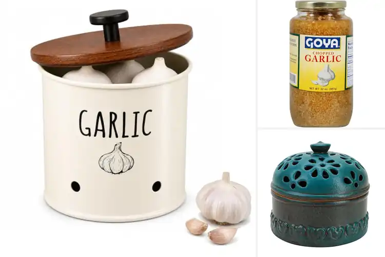 Detailed view of Best Garlic Jars: 10 Stylish Fresh-Keeping Picks