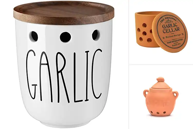 Detailed view of Best Garlic Keepers: Keep Cloves Fresh & Sprout-Free Longer