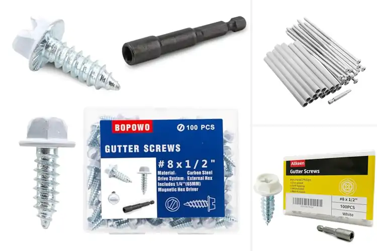 Detailed view of Best Gutter Screws