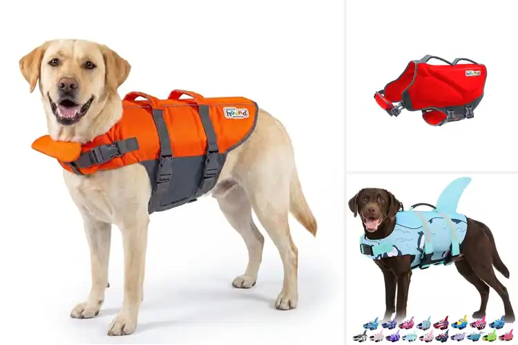 Detailed view of Best High Buoyancy Dog Life Jackets
