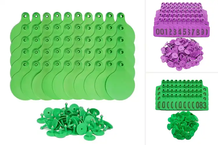 Detailed view of Best Horse Ear Tags for Easy Tracking