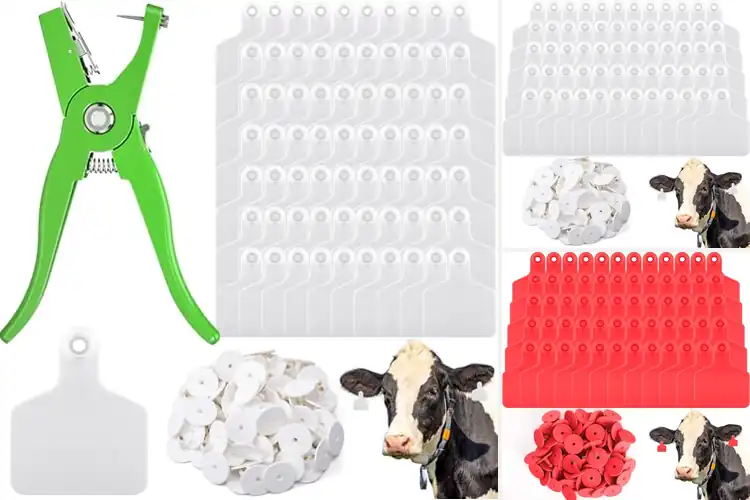 Detailed view of Best Livestock Management Tags: Track Your Herd with Ease