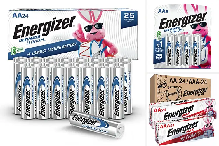 Detailed view of Best Long Lasting Batteries