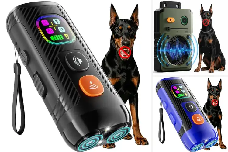 Detailed view of Best Long Lasting Pet Devices for Humane Training