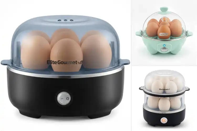 Detailed view of Best Multi-Egg Cookers: 10 Power‑Packed Picks