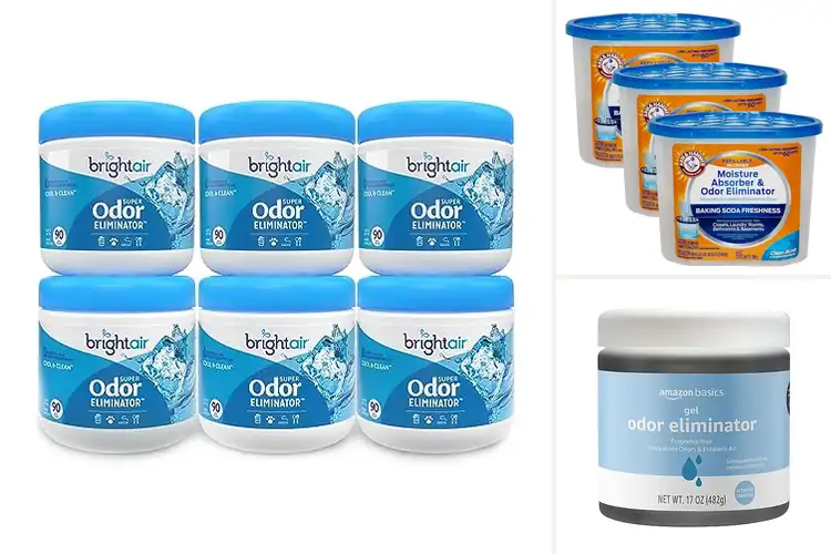 Detailed view of Best Odor Eliminators