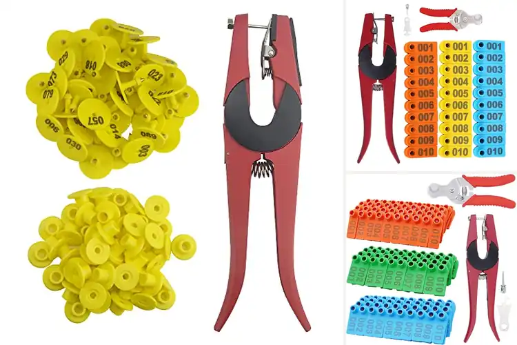 Detailed view of Best Pig Ear Tags: Top 10 Durable Options