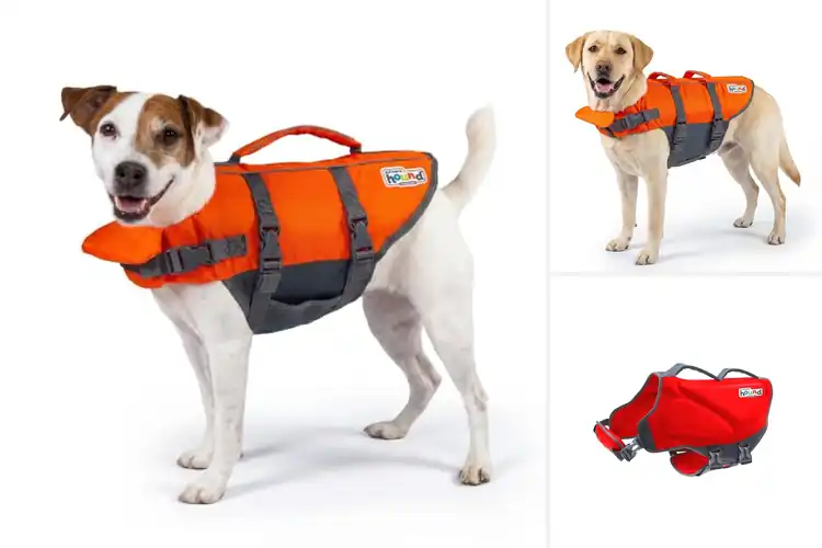 Detailed view of Best Reflective Dog Life Jackets