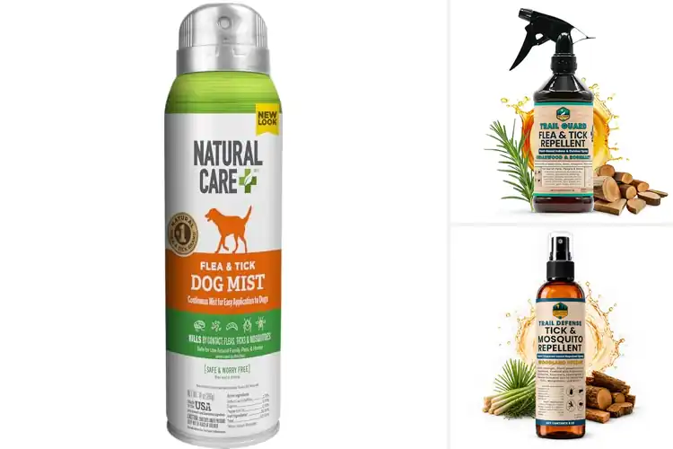 Detailed view of Best Safe Tick Repellents For Dogs: Top 10 Natural Solutions