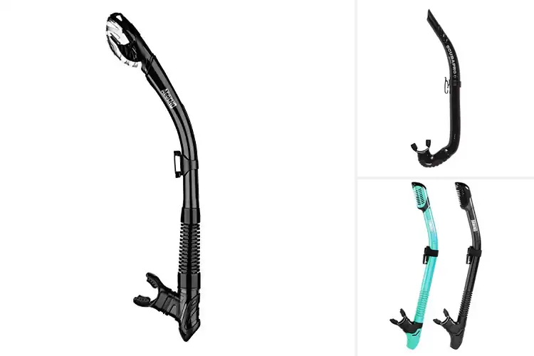 Detailed view of Best Snorkels For Freediving: Top 10 Picks You’ll Love