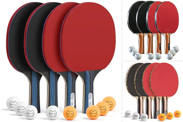 Detailed view of Best Table Tennis Paddle Sets
