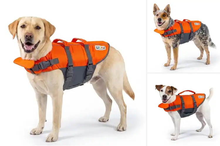 Detailed view of Best Waterproof Dog Flotation Vests