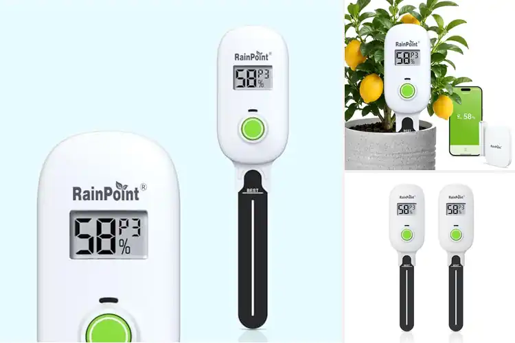 Detailed view of Best Wireless Plant Monitors